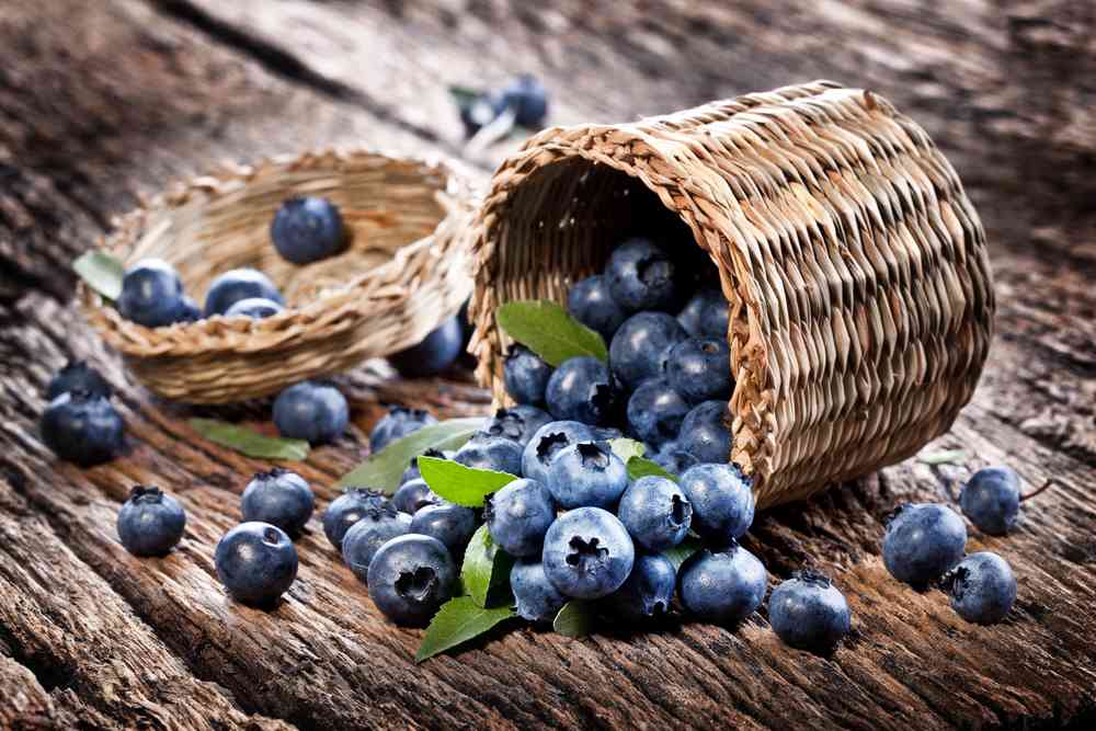 Global Blueberry Ingredients Market Is Estimated To Witness High Growth Owing To Rising Demand For Natural and Healthy Food Products