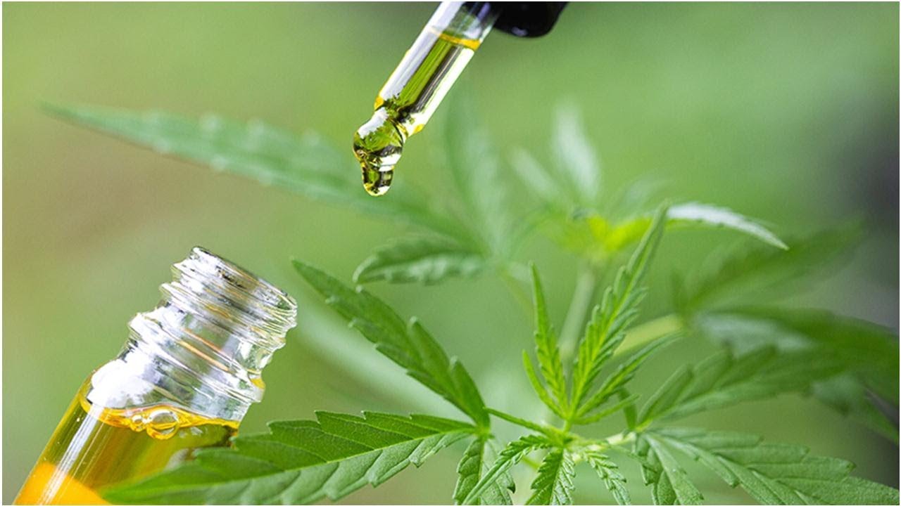 Cannabidiol Market Is Estimated To Witness High Growth Owing To Increasing Demand for CBD-infused Products and Expanding Legalization of Cannabis