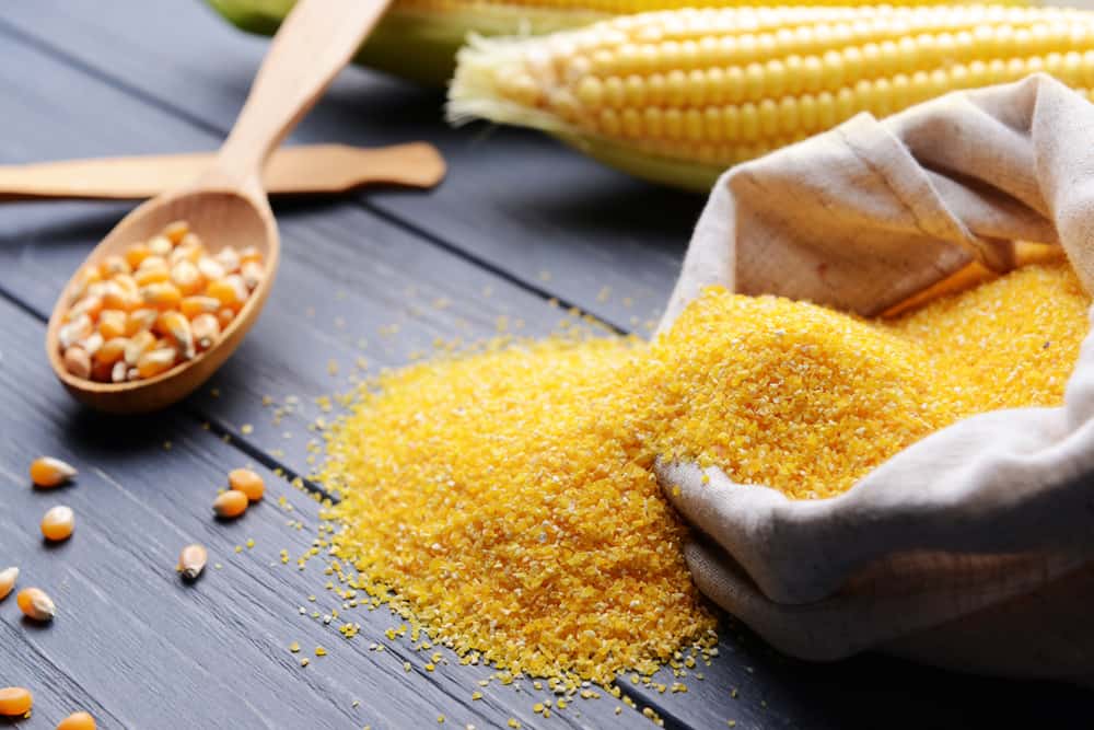 Future Growth Opportunities and Market Potential of the Corn Grit Market