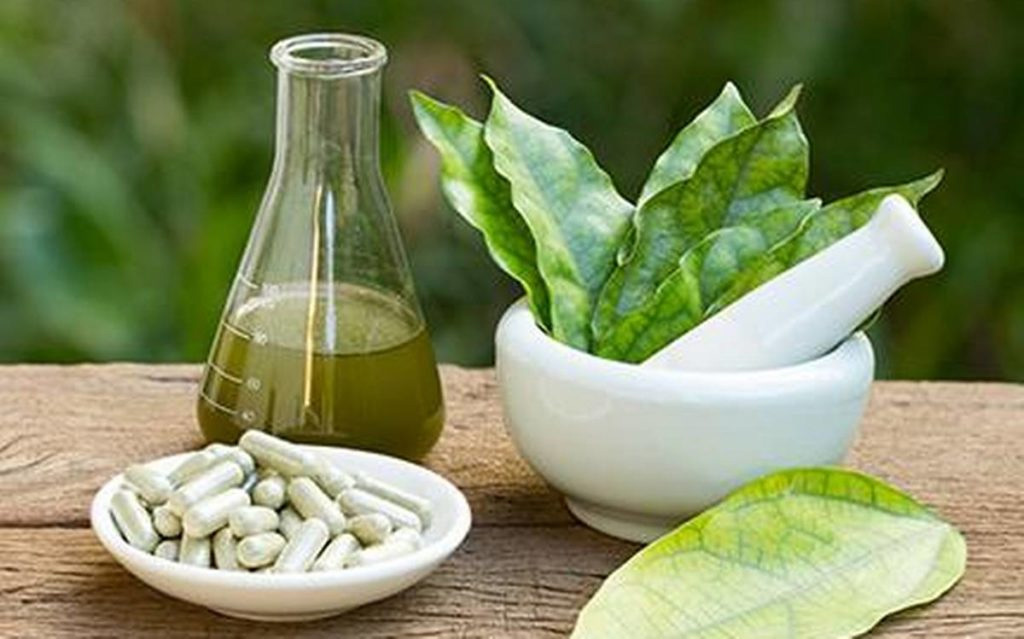 Future Prospects And Market Dynamics Of The Herbal Nutraceuticals Market