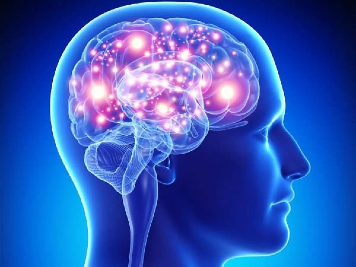 Neurological Biomarkers Market: Rising Demand for Early Diagnosis and Treatment