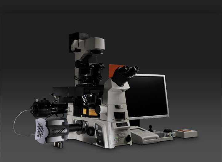 Optical Microscopes Market