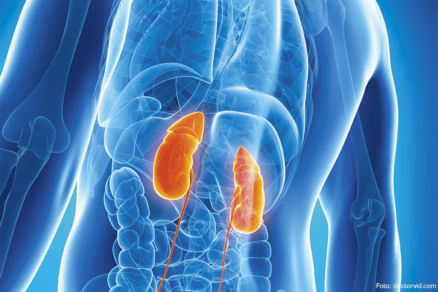 Renal Biomarkers Market Is Estimated To Witness High Growth Owing To Increasing Prevalence of Chronic Kidney Diseases and Rising Adoption of Point-of-Care Testing