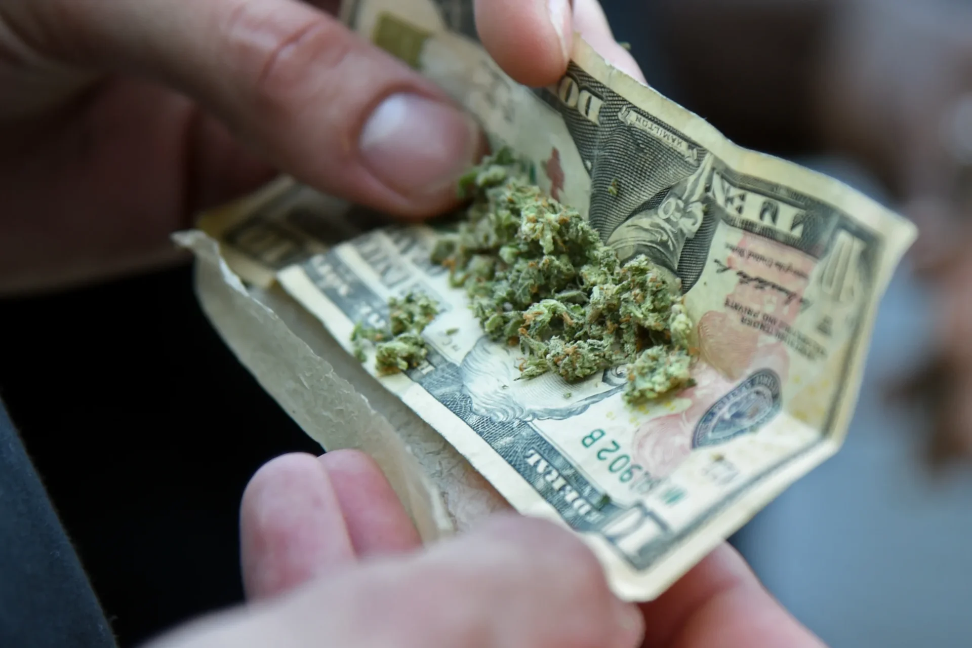 The Lucrative Future Of The Legal Marijuana Market