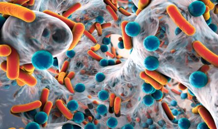 New Approaches to Treating Tuberculosis Preserve Respiratory Microbiome