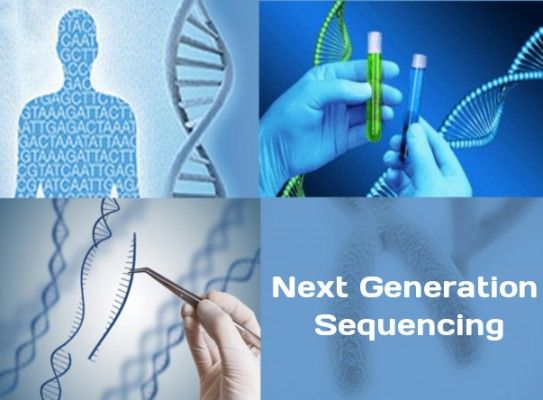 Next Generation Sequencing Market, Market Overview, Market Key Trends, Key Takeaways
