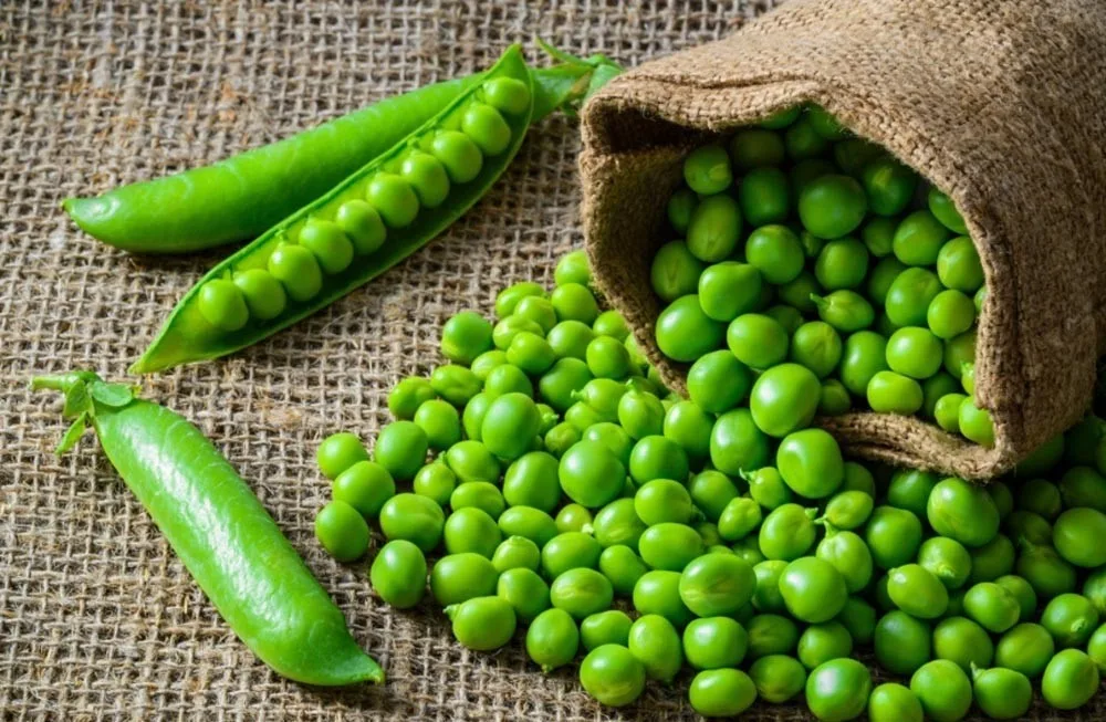 Future Prospects and Market Dynamics in the Pea Starch Market