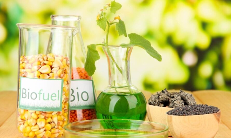 Agriculture Segment Is The Largest Segment Driving The Growth Of Biofuels Market