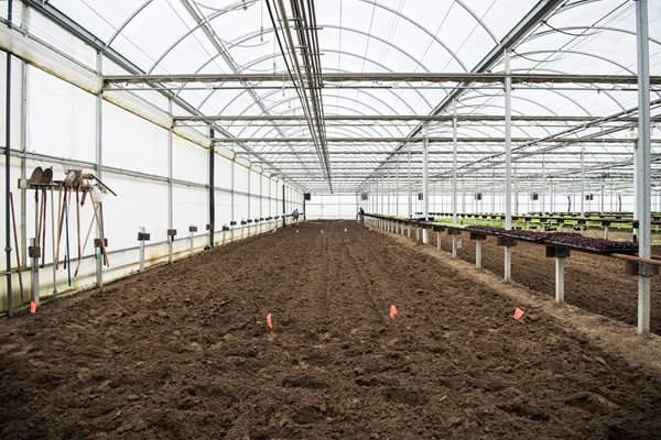 Greenhouse Farming Set To Boost The Growth Of The Global Greenhouse Soil Market