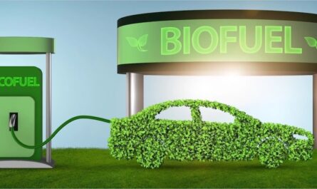 India biofuels Market