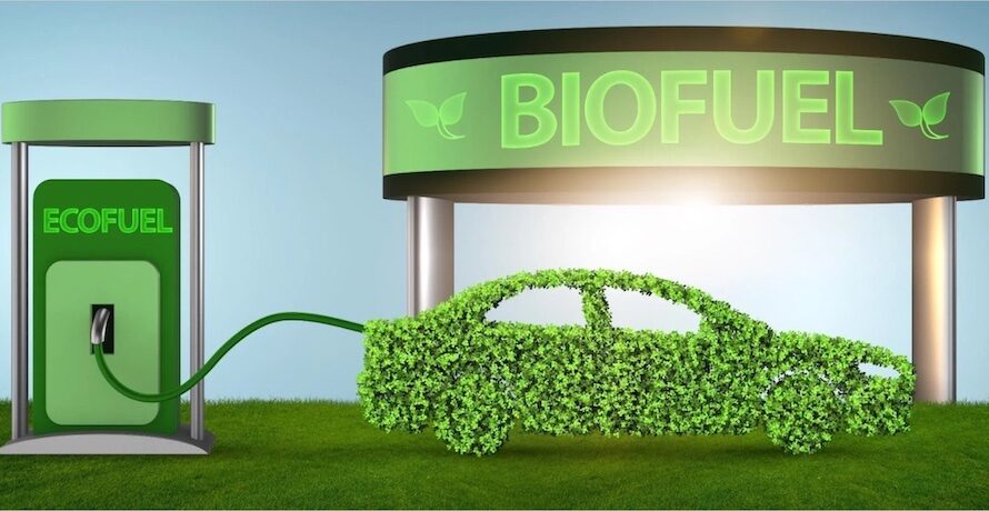 Growing Usage Of Digitalization Is Anticipated To Openup The New Avenue For India Biofuels Market