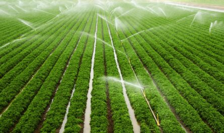 MENA Drip Irrigation System Market