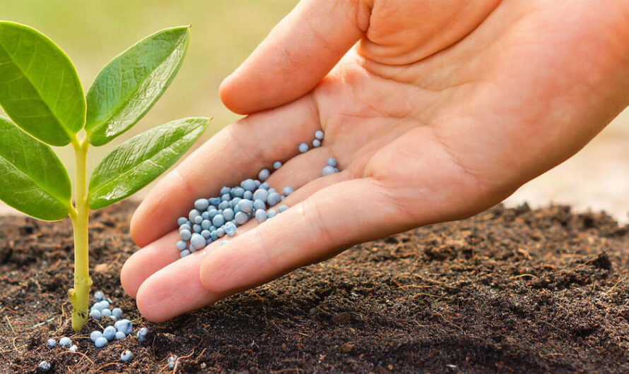 Micronutrients Fertilizers Market is Expected to be Flourished by Increasing Demand for High-Quality Crops