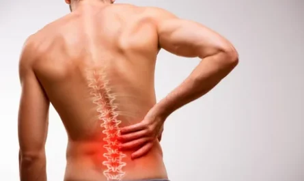 New Study Finds Hip-Focused Physical Therapy Reduces Chronic Low Back Pain in Older Adults