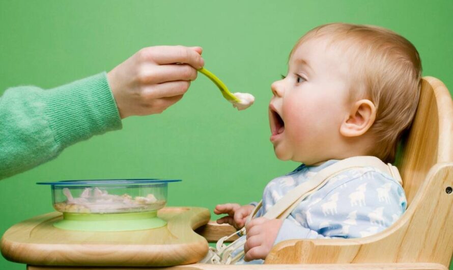 Organic Baby Food Market is Expected to be Flourished by Rising Demand for Clean-Label and Organic Products