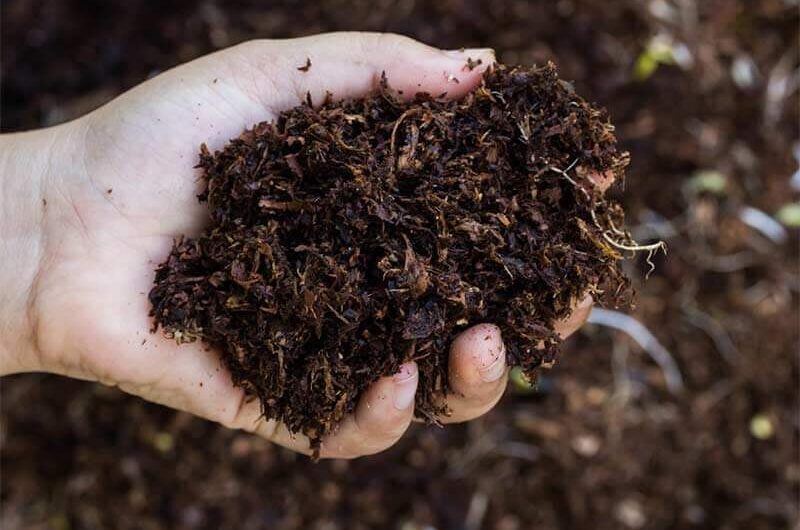 Sustainable Agricultural Practices Projected To Boost The Growth Of The Global Organic Fertilizer Market