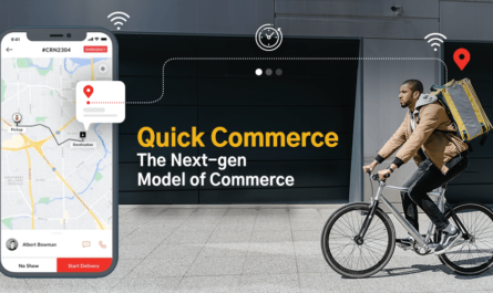 Quick E-Commerce (Quick Commerce) Market