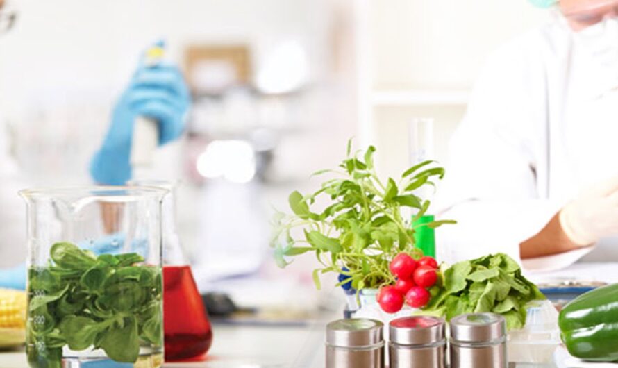 The Agricultural Testing Market is Expected to be Flourished by Growing Emphasis on Food Safety and Quality