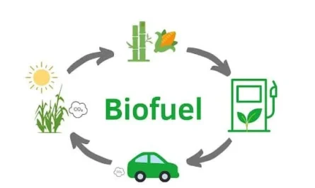 Brazil Biofuels Market