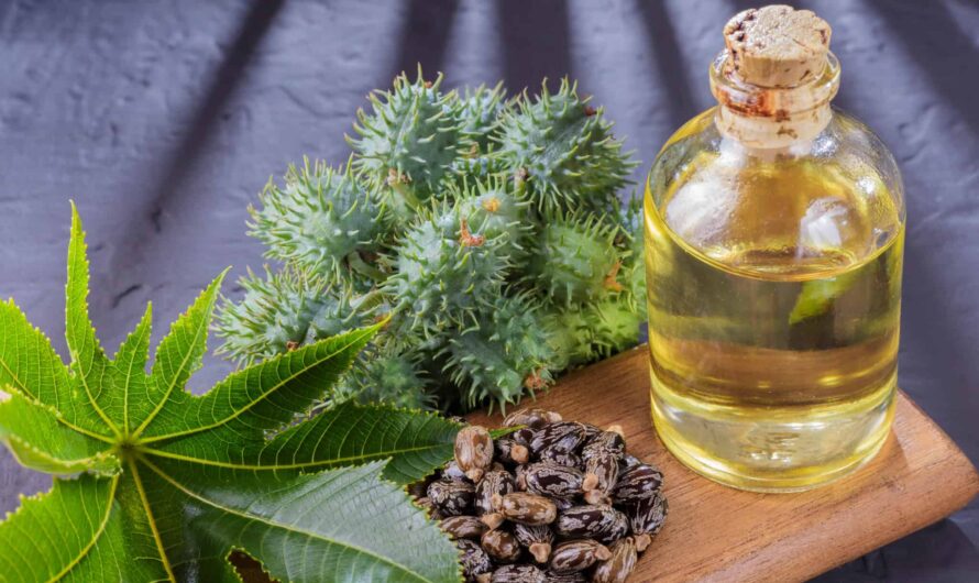 How Castor Oil Derivatives Is Projected To Driving Sustainable Development