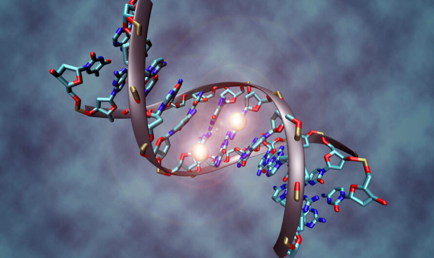 DNA Sequencing Market is Expected to be Flourished by Accelerated Adoption of DNA Sequencing In Clinical Diagnostics