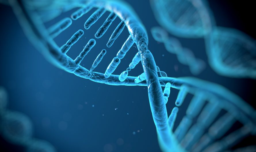 The Global DNA Sequencing Market Growth Accelerated By Advancements In DNA Sequencing Technology