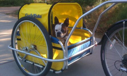 Dog Bicycle Trailer Market