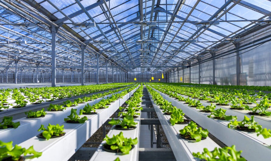 Greenhouse Produce Market is Expected to be Flourished by Increasing Demand for Organic and Healthy Food