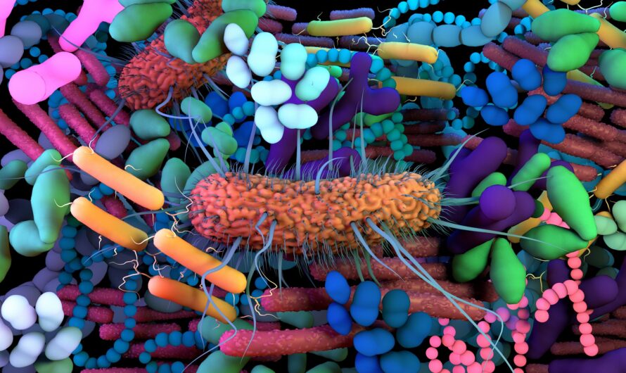 Human Microbiome Market is Expected to be Flourished by Rising Investments in Microbiome Research