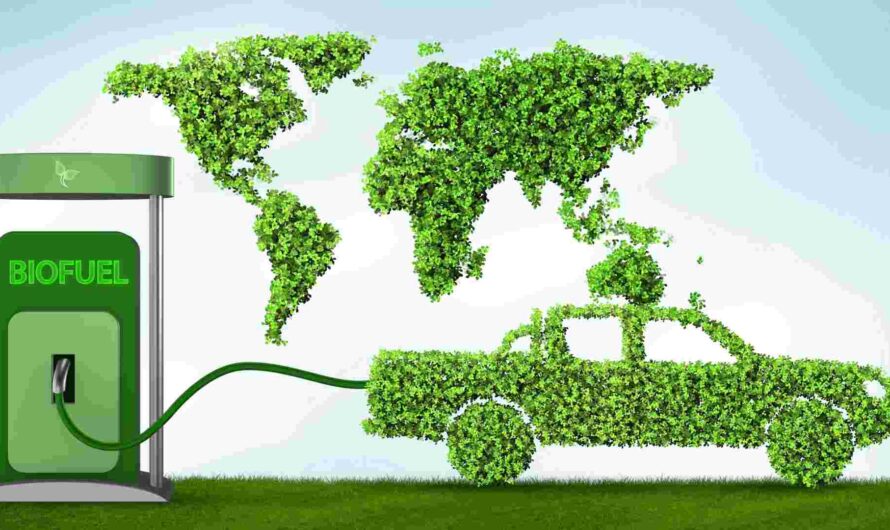 India Biofuels Market Is Expected To Be Flourished By Growing Transportation Sector