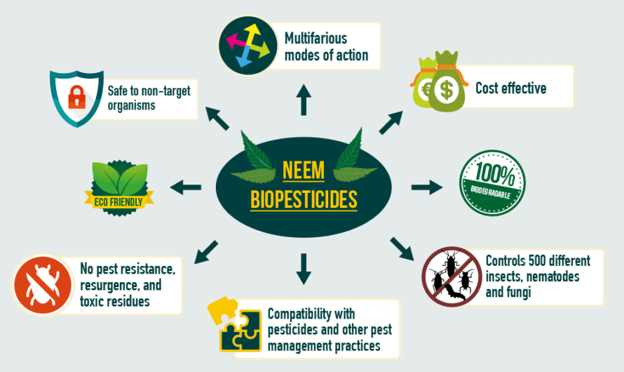 Neem based Pesticides Market driven by growing organic agricultural practices