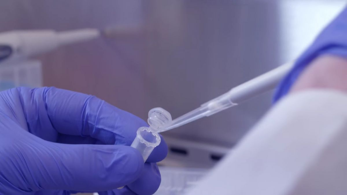 Plasmid DNA Manufacturing Market