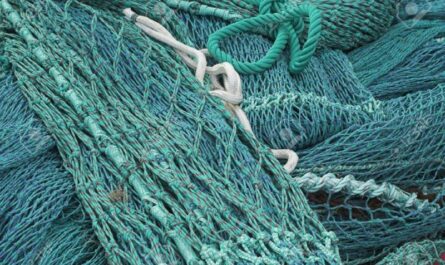Trawl Ropes and Nets Market