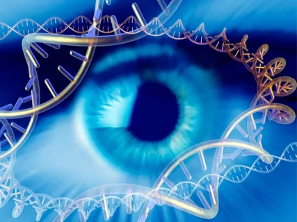 A New Genetic Study Reveals Insights into Glaucoma Risk Factors