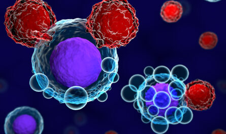 Adoptive Cell Therapy Market