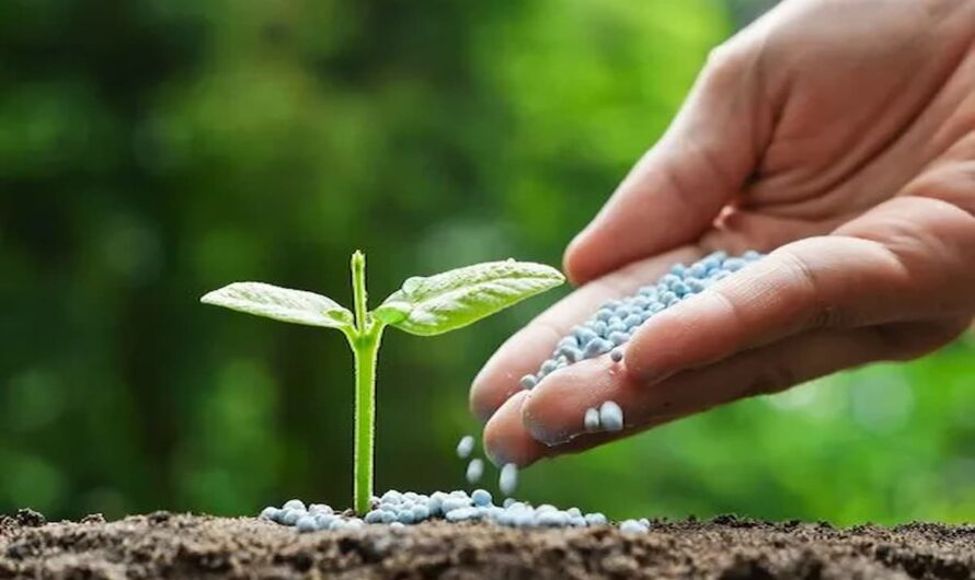 Biofertilizers market will grow at highest pace owing to growing organic farming