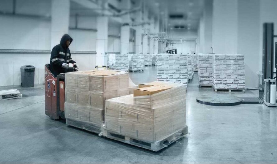 Cold Chain Packaging: Maintaining Product Quality Through Distribution Chain