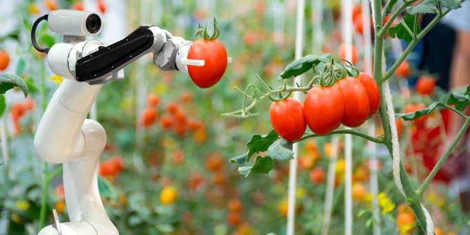Fruit Picking Robots: The Future of Agriculture