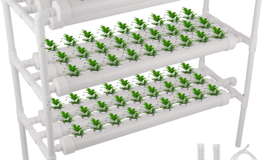 Hydroponics Market Is Estimated To Witness High Growth Owing To Rise In Popularity Of Organic Farming