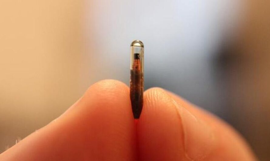 The Human Microchipping Market Poised to Grow Significantly Owing to Increasing Adoption by Healthcare Providers and Pet Owners