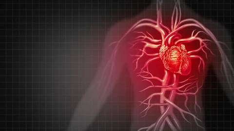 Novel Blood Biomarkers to Assess Cardiovascular Disease Risk in Rheumatoid Arthritis Patients