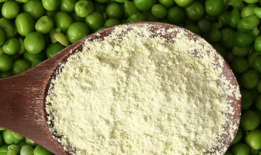 Pea Starch Market is expected to be Flourished by Increasing Demand for Plant-based and Gluten-free Products