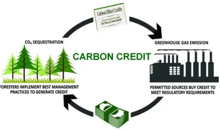 Singapore Carbon Credit