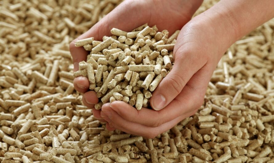 Starter Feed Market is Estimated to Witness High Growth Owing to Rising Demand for Protein-Rich Animal Feed