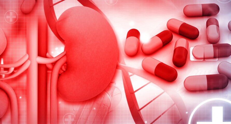 Kidney Cancer Drugs Market is Estimated to Witness High Growth Owing to Increasing Incidence of Kidney Cancer