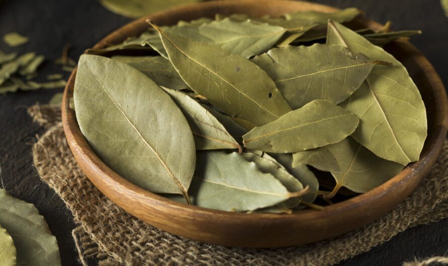 Investigating Competitive Strategies: Key Insights into Bay Leaf Market Players