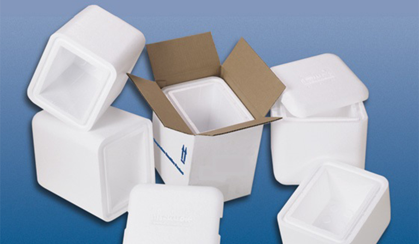 Importance of Cold Chain Packaging in Ensuring Quality Delivery of Temperature Sensitive Products
