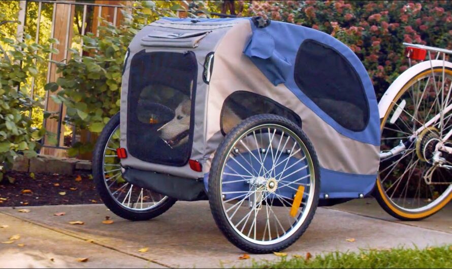 Dog Bicycle Trailer Market is Estimated to Witness High Growth Owing to Growing Popularity for Outdoor Activities with Pets