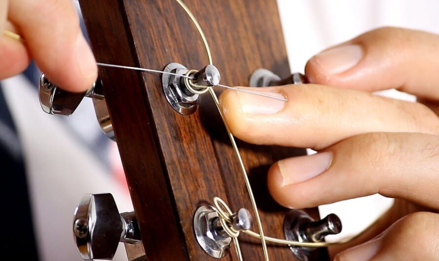 Electric and Acoustic Guitar Strings Market to Grow at a CAGR of 5.1% Driven by Rising Popularity of Guitar as a Recreational Instrument