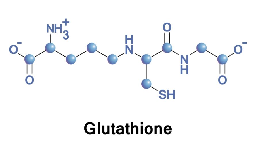 Glutathione Market to Witness Significant Growth Owing to Rising Demand in Health Supplement Industry